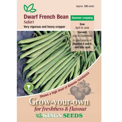 Dwarf French Bean Safari