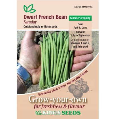 Dwarf French Bean Farraday