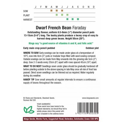 Dwarf French Bean Farraday