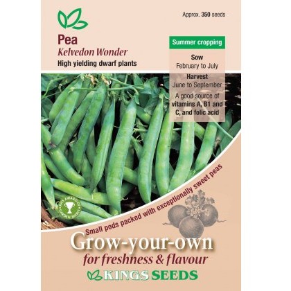 Pea Kelvedon Wonder