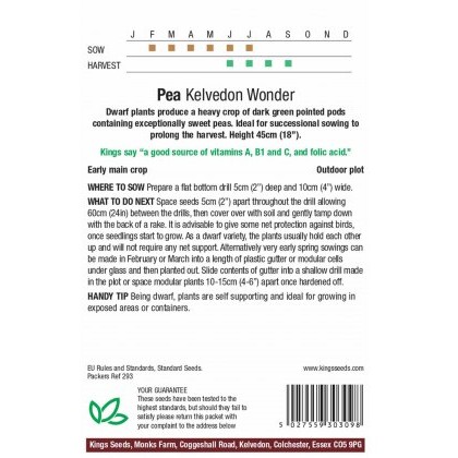 Pea Kelvedon Wonder