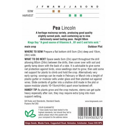 Pea Lincoln