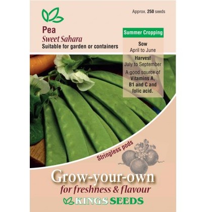 Pea Sweet Sahara