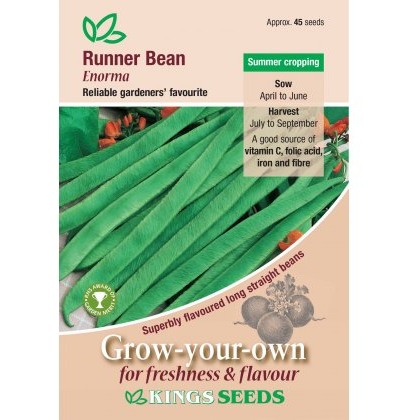 Runner Bean Enorma