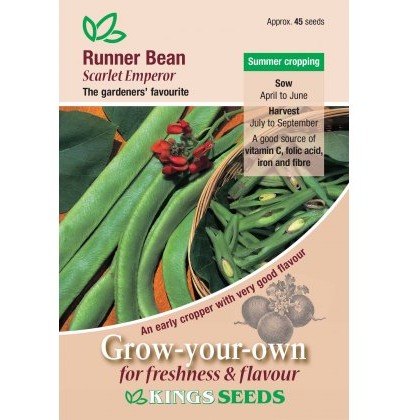 Runner Bean Scarlet Emperor