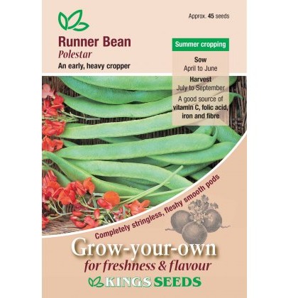 Runner Bean Polestar