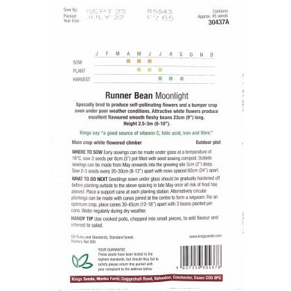 Runner Bean Moonlight