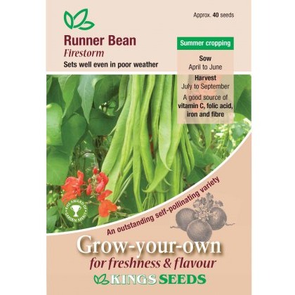 Runner Bean Firestorm