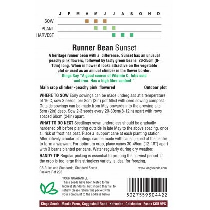 Runner Bean Sunset