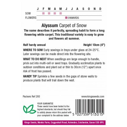 Alyssum Carpet Of Snow