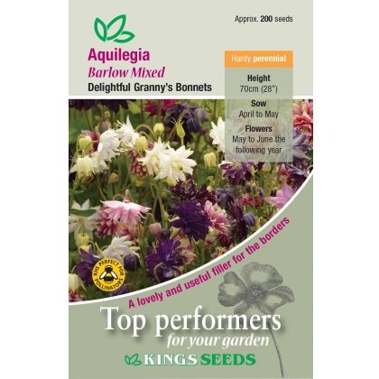 Aquilegia Barlow Mixed