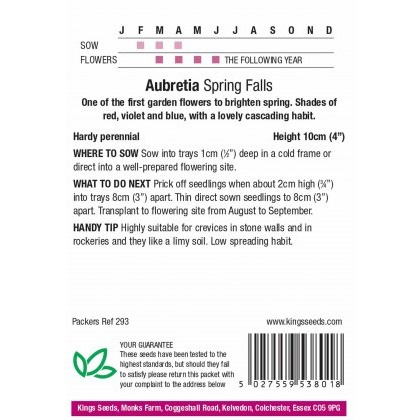 Aubrietia Spring Falls