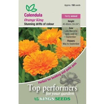 Calendula Orange King