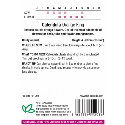 Calendula Orange King