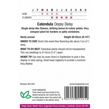 Calendula Oopsy Daisy