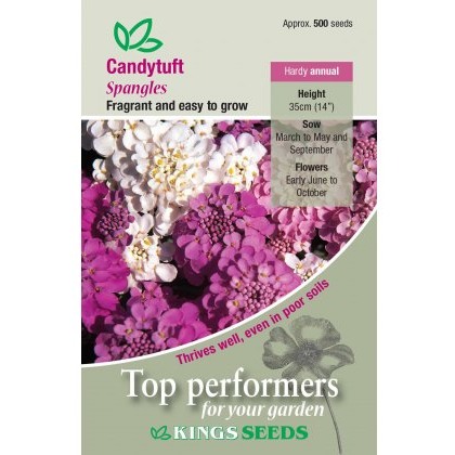 Candytuft Spangles