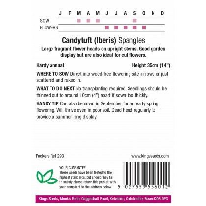 Candytuft Spangles