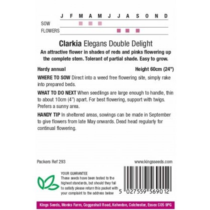 Clarkia Elegans Double Delight