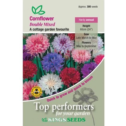 Cornflower Double Mixed