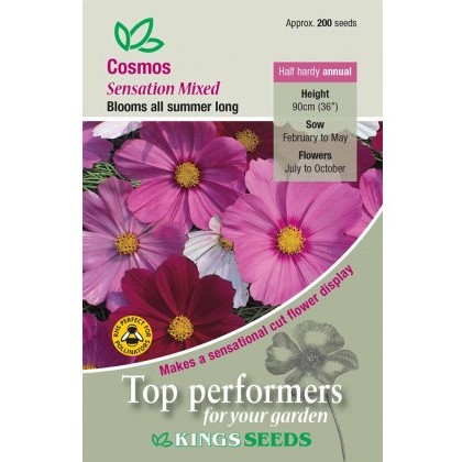 Cosmos Sensation Mixed