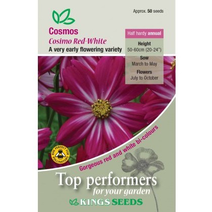 Cosmos Cosimo Red-White