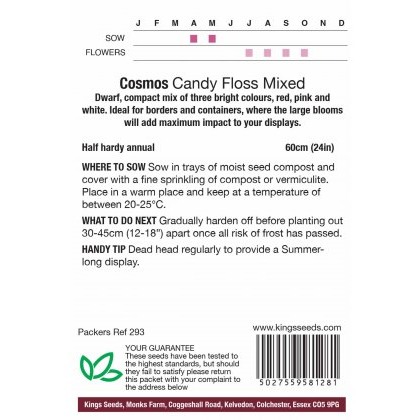 Cosmos Candy Floss Mixed