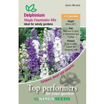 Delphinium Magic Fountains Mix