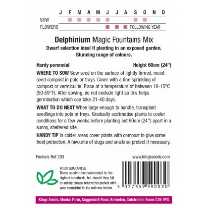 Delphinium Magic Fountains Mix