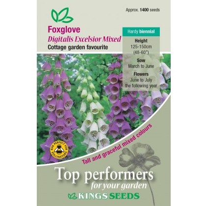Foxglove Excelsior Mixed