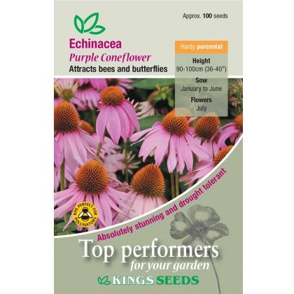 Echinacea Purpurea Purple Coneflower