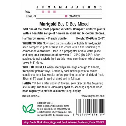 Marigold French Boy O Boy Mixed