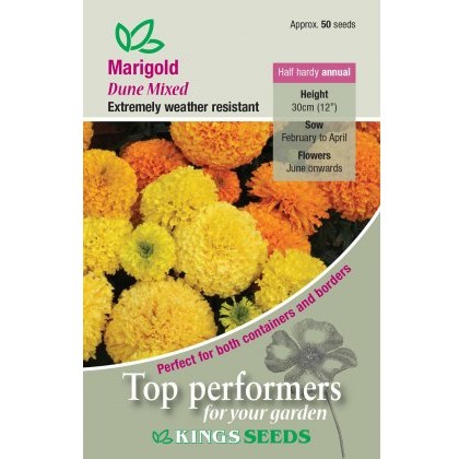 Marigold African Dune Mixed