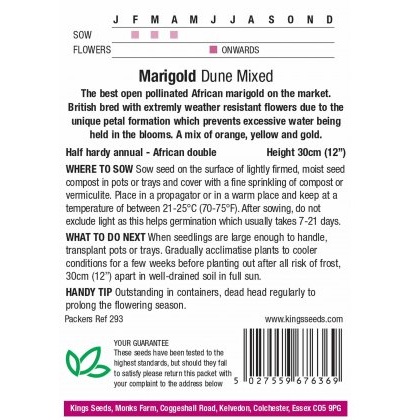 Marigold African Dune Mixed