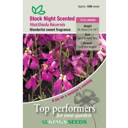 Stock Night Scented