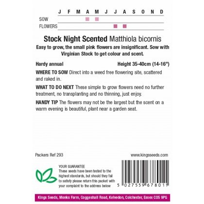 Stock Night Scented