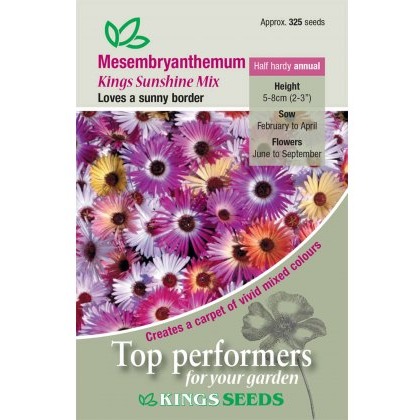 Mesembryanthemum Kings Sunshine Mix