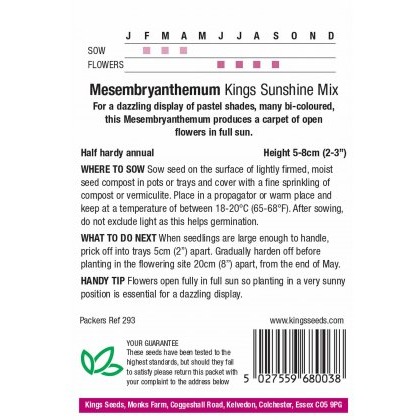 Mesembryanthemum Kings Sunshine Mix