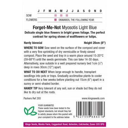 Forget Me Not Light Blue (Myosotis)