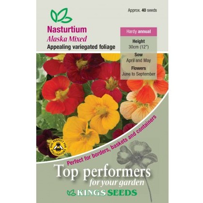 Nasturtium Alaska Mixed