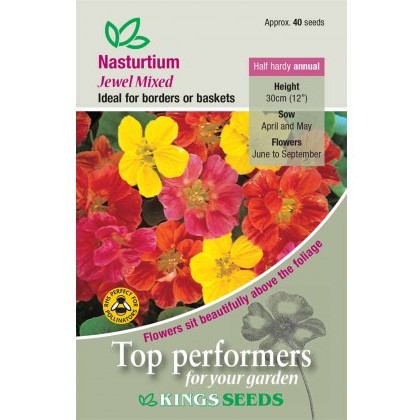 Nasturtium Jewel Mixed