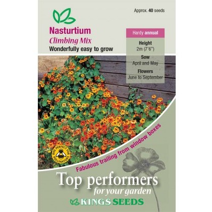 Nasturtium Climbing Mixed