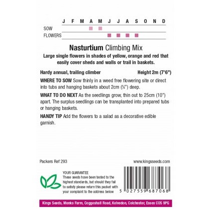Nasturtium Climbing Mixed