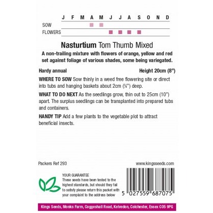 Nasturtium Tom Thumb Mixed