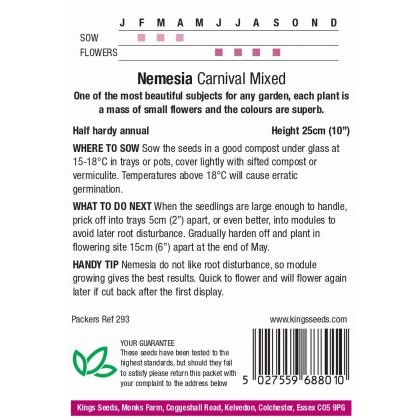 Nemesia Carnival Mixed