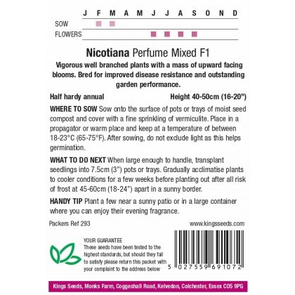 Nicotiana Perfume Mixed F1
