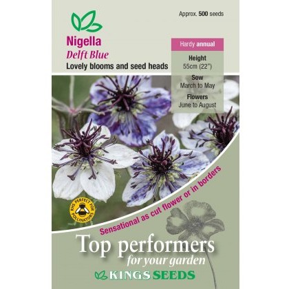 Nigella Delft Blue