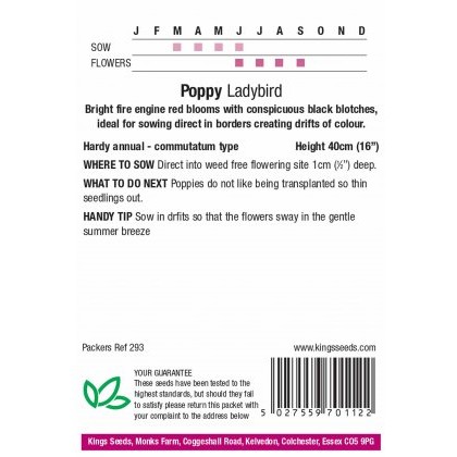 Poppy Ladybird