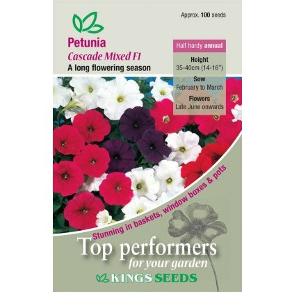 Petunia Cascade Mixed F1