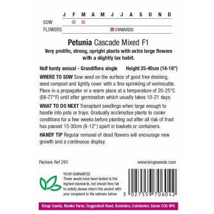 Petunia Cascade Mixed F1