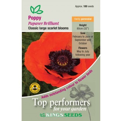 Poppy Brilliant Scarlet
